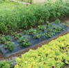 Mulchingn Nylon Negro Para Piso Lechuga, Frutilla 2