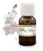 Aceite Esencial De Orquideas Envase 15ml Puro Natural 0