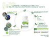 Biotina B7 Plus (cabello Uñas Fuertes Anti Caída Y Quiebre) 1