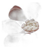 Jwh 3d Flores Acento Funda De Almohada Funda De Cojin De Al 7