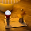 Diy Experimento Científico Educacional Modelos De Haste De 5
