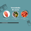 Curso Online  El Chocolate Simple 1