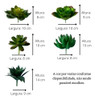 2 Kit De Plantas Artificiais Suculentas Decorativas Realista 1