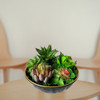 2 Kit De Plantas Artificiais Suculentas Decorativas Realista 7