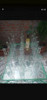 Envases De Vidrio 1/2 Litro ( 24 Unidades) 3