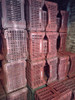 Bandejas Cosecheros Plásticas 1