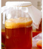 Scoby De Kombucha Pura 2