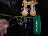 Raton Ratoncito Ratones Pendulo Estaca Metalicas Jardin 3