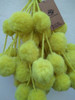 Tulmas Norteñas - Pompones - Deco 3