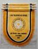Banderines Acolchonados Personalizados !!! 3