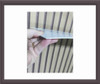 Mesa Radionica Cheyenne Placa Ps 2mm 50x30 2
