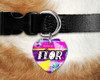 Plantillas Para Sublimar Huesito Medallas Perros Gatos 4