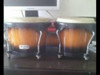Bongo Headliner - Excelente Estado 1