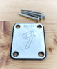 Placa Fender Stratocaster Vintage Cromada De 1972 (395854) 1