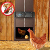 Puerta Automática A Pilas Para Gallinas, Aves. Anti Zorros 1