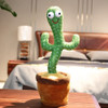 Tik Tok Papagaio Cacto Que Pode Cantar E Dançar Brinquedo 3