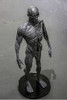 Maqueta Esqueleto Humano Jmc 3d Mayorista 2