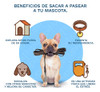 Correa Extensible Mascota Retractil 5mts Hasta 15 Kg Negro 2