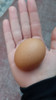 60 Huevos De Campo Extra Grandes. Envíos Sin Cargo En Caba 2