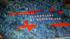 Disco Citizens Footprint (remixes) Vinilo Maxi Germany 1997 4