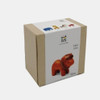 Leoncito Plan Toys 2