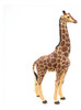 Papo Giraffe Male Figuretoys   Games 5