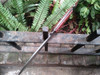 Antiguo Cuchillo De Lanzar Herder Solingen Carbono 2