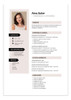 Armado Cv Curriculum Personalizado Varios Modelos 24 Hs 0