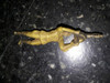 Soldado De Plastico Verde Con Ametralladora Antiguo 1