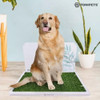 Bandeja Sanitaria Educar Perros Grande Para Hembra Tonipets 3