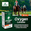 Oxygen 500ml Lavizoo  Equinos Termogênico De Alto Rendimento 2