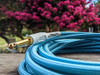 Pig Hog Pch10db Cable Plug De Tela De 3 Metros 1