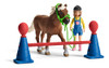 Set Entrenamiento Agilidad Ponis Schleich Farm World Trex 0