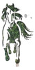 Stencil Caballo Modelo  3 0