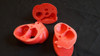 Corazon Anatomico Estudio Medicina 3