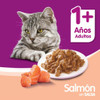 Alimento Húmedo Para Gato Whiskas Sabor Salmon En Pouch 85gr 4