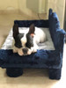 Sillón Cama Cucha Perro Grande 6 Sillón Cama Cucha Perro Grande 6