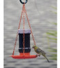 Alimentador De Pajaros Silvestres Colgante Perkypet 253 1