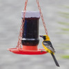 Alimentador De Pajaros Silvestres Colgante Perkypet 253 3