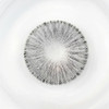 Urban Layer - Palvin Gray Lentes De Contacto Anuales 2