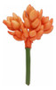 Planta Suculenta Cor Laranja Artificial Decoração Casa 12 Cm 0