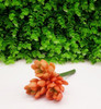 Planta Suculenta Cor Laranja Artificial Decoração Casa 12 Cm 3
