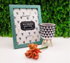 Planta Suculenta Cor Laranja Artificial Decoração Casa 12 Cm 6
