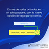 Bomba De Combustible Faw Freewind 5