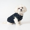 Moda Jean Chamarra Para Perros Por United Pups 0