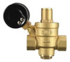 Dn20 Npt ½'' Ajustable Latón Agua Regulador Reductor De Pres 5