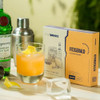 Preparo Líquido Drink Fitzgerald Easy Drinks 6 Sachês 6