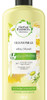 Herbal Essences Chamomile Kit Shampoo + Enjuague Manzanilla 4
