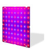 Lâmpad Led Grow Light Red Blue Full Spectrum 81 Leds 3