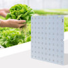 Lâmpad Led Grow Light Red Blue Full Spectrum 81 Leds 7